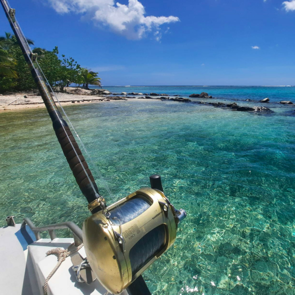 Safaris de Pêche